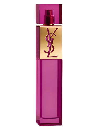 YSL Elle